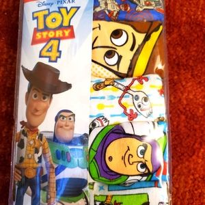 Boys toystory briefs
